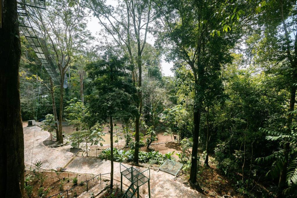 Mountain Top Park Hotel Quepos Kültér fotó