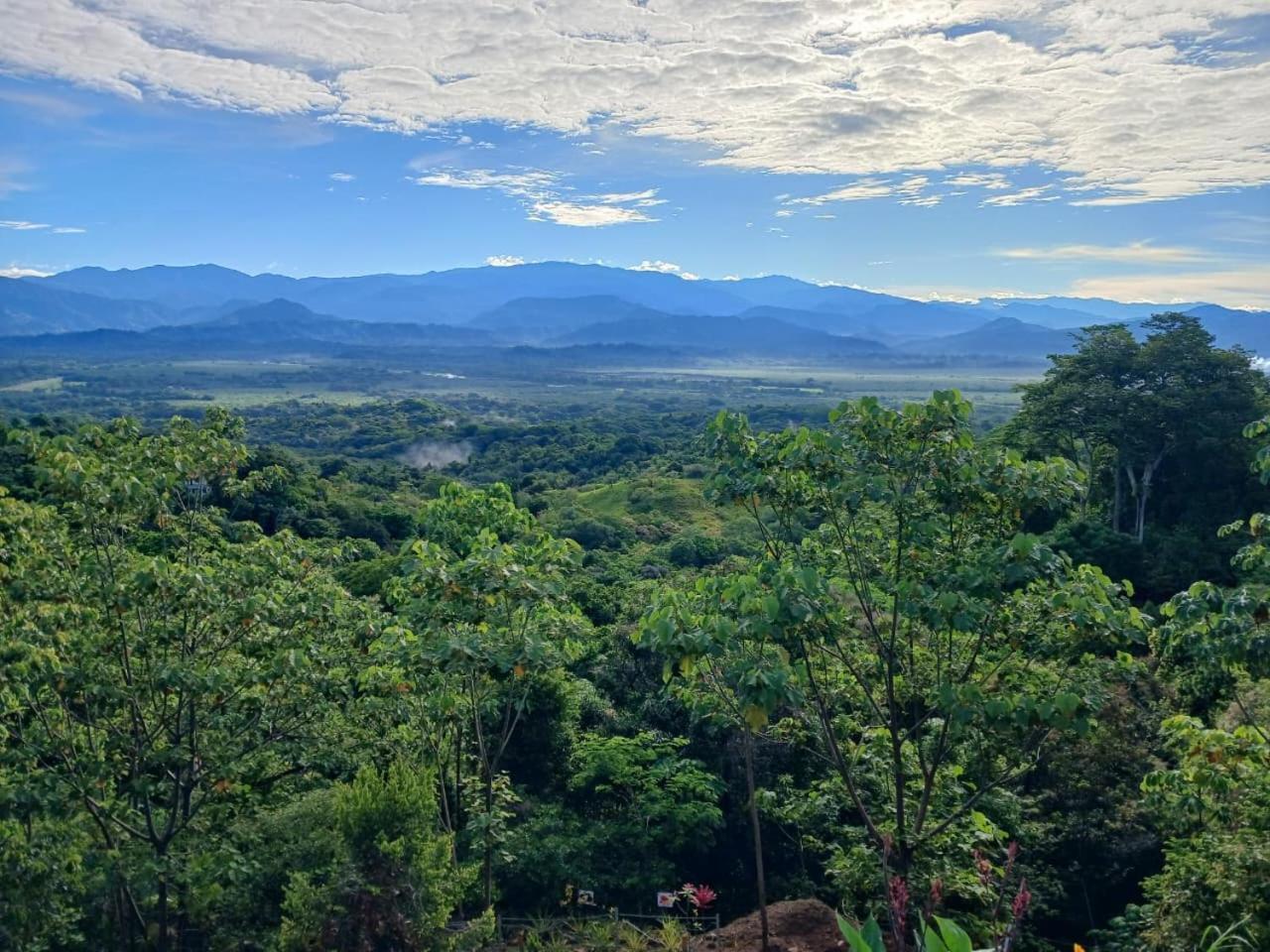 Mountain Top Park Hotel Quepos Kültér fotó