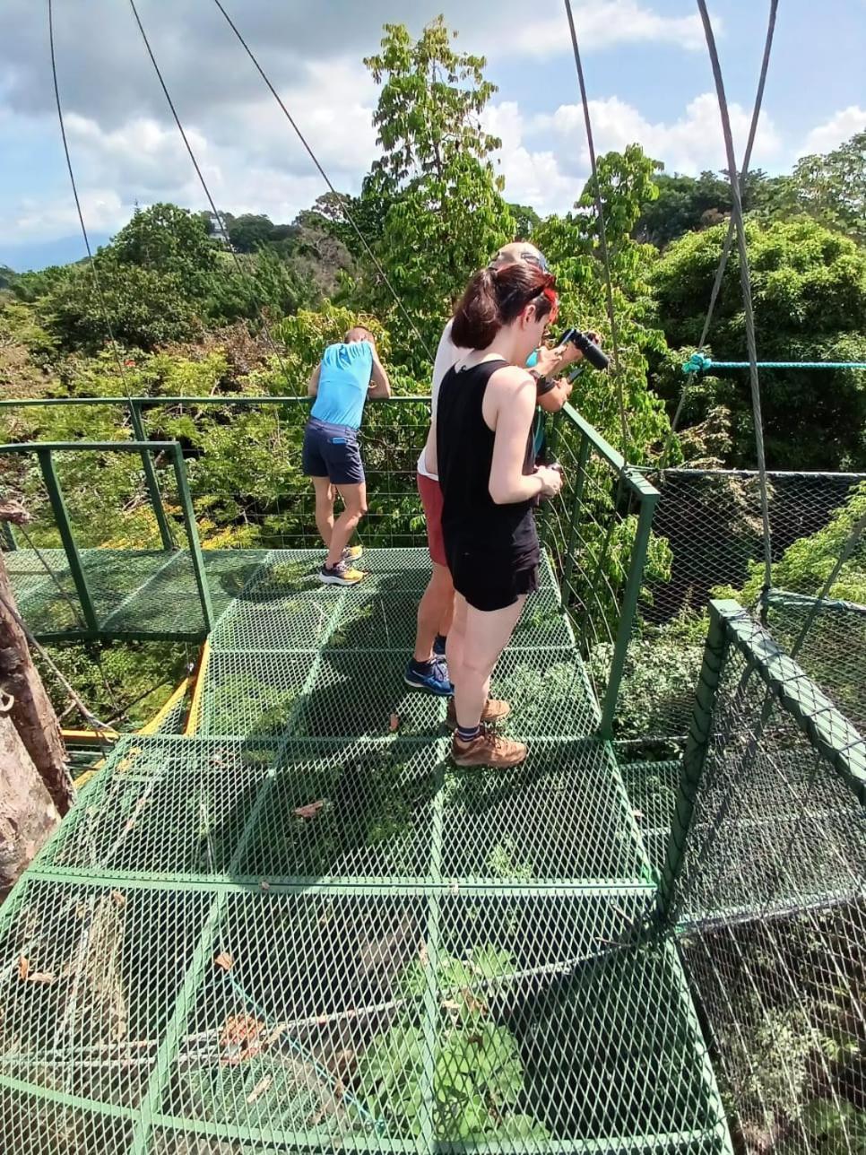 Mountain Top Park Hotel Quepos Kültér fotó